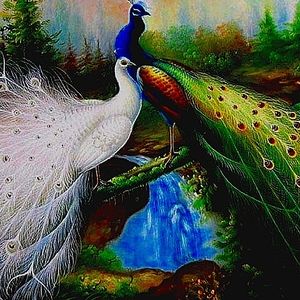 Meet your Posher, Mel